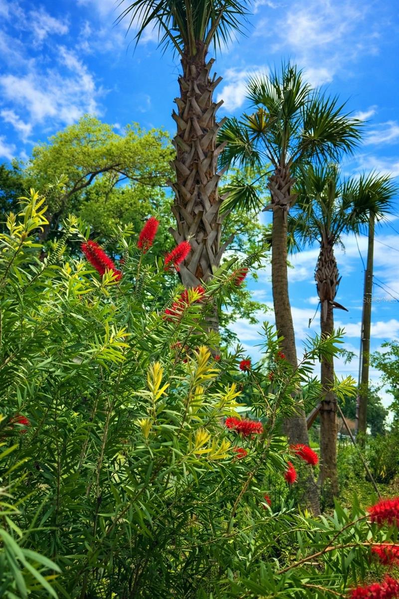 WYNDHAM ESTATES - Land