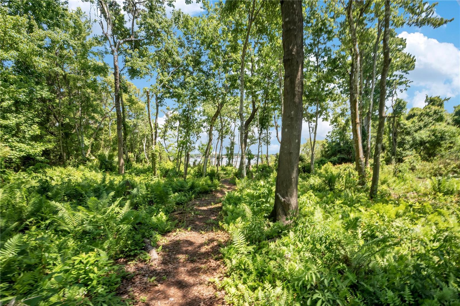 WYNDHAM ESTATES - Land