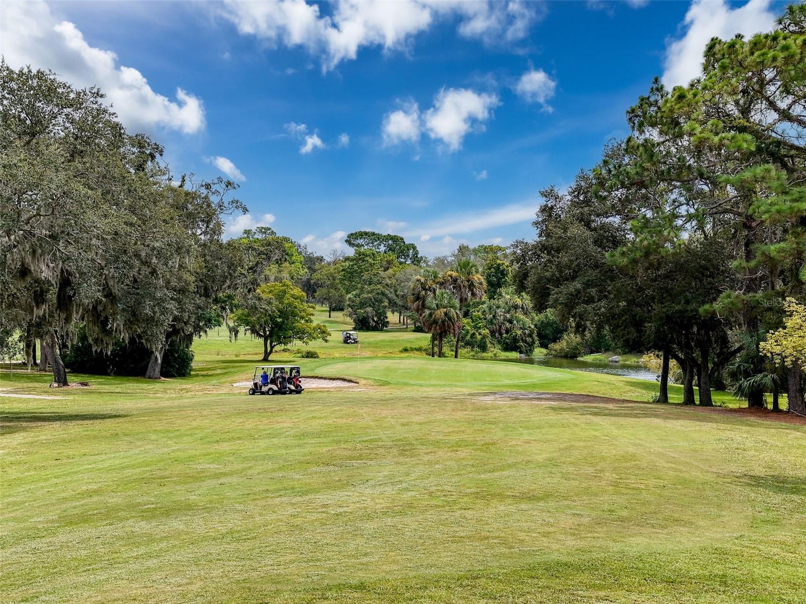 FAIRWAY AT THE HEATHER - Residential
