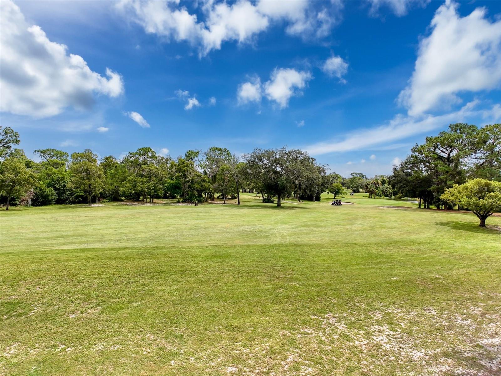 FAIRWAY AT THE HEATHER - Residential