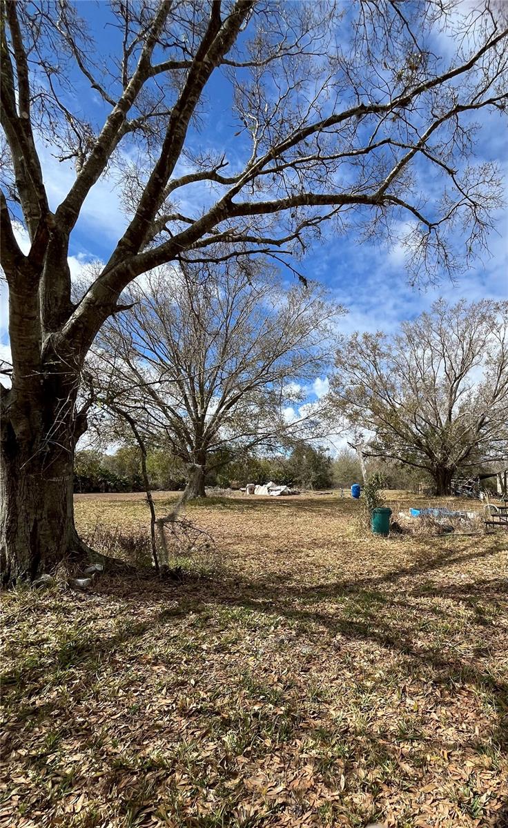 MONEYTREE RANCHETTES SUB - Residential