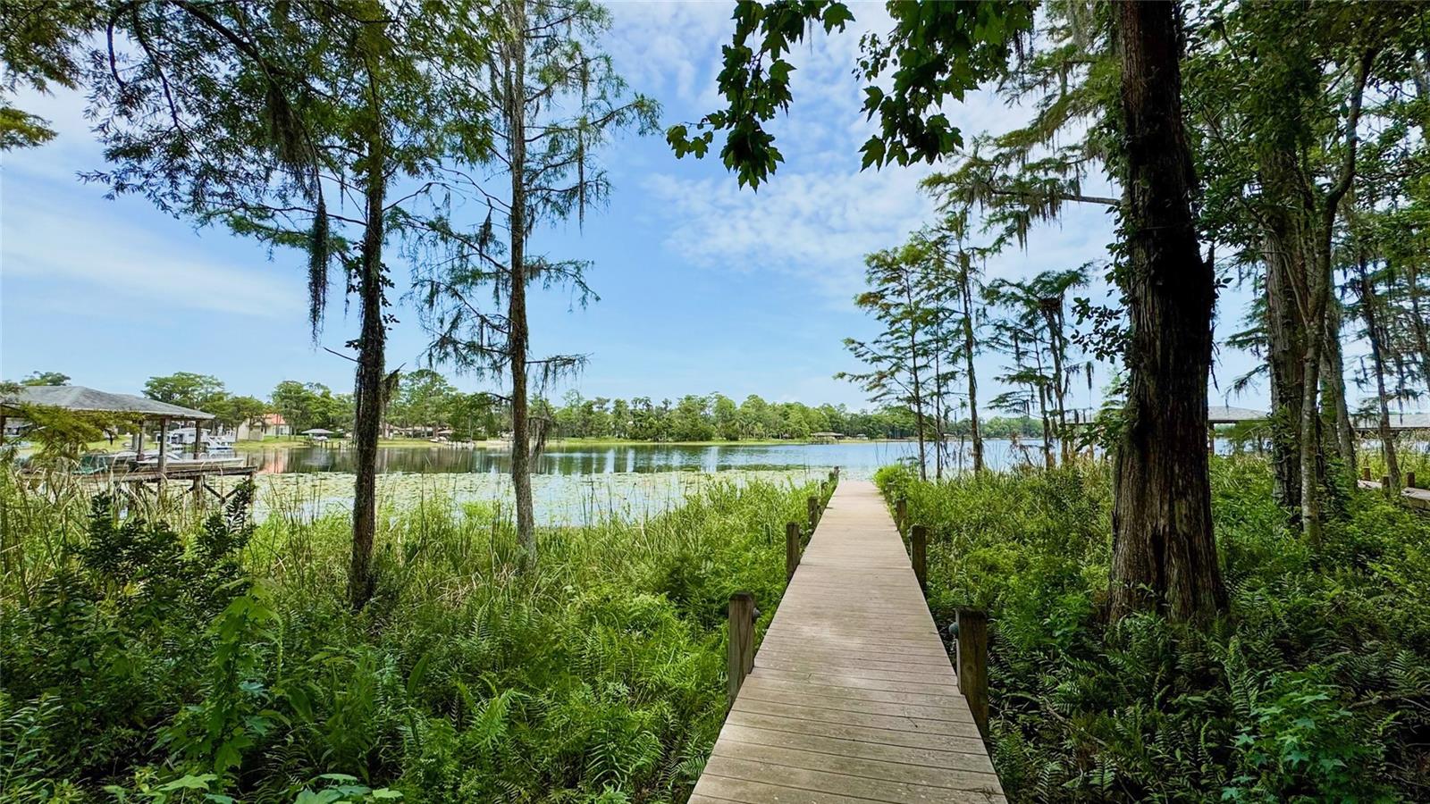 Search 4 14125 DEEP LAKE DRIVE