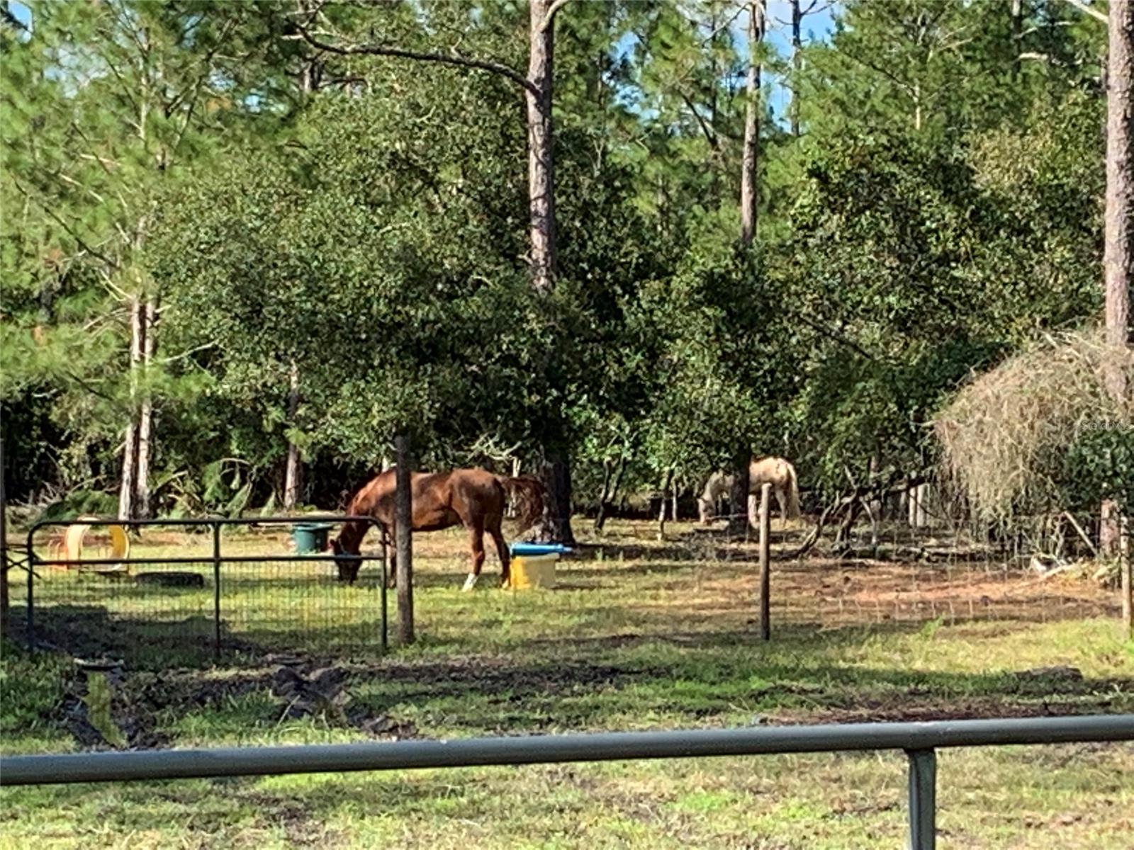 Quail Roost Ranches Unrec 202 - Residential