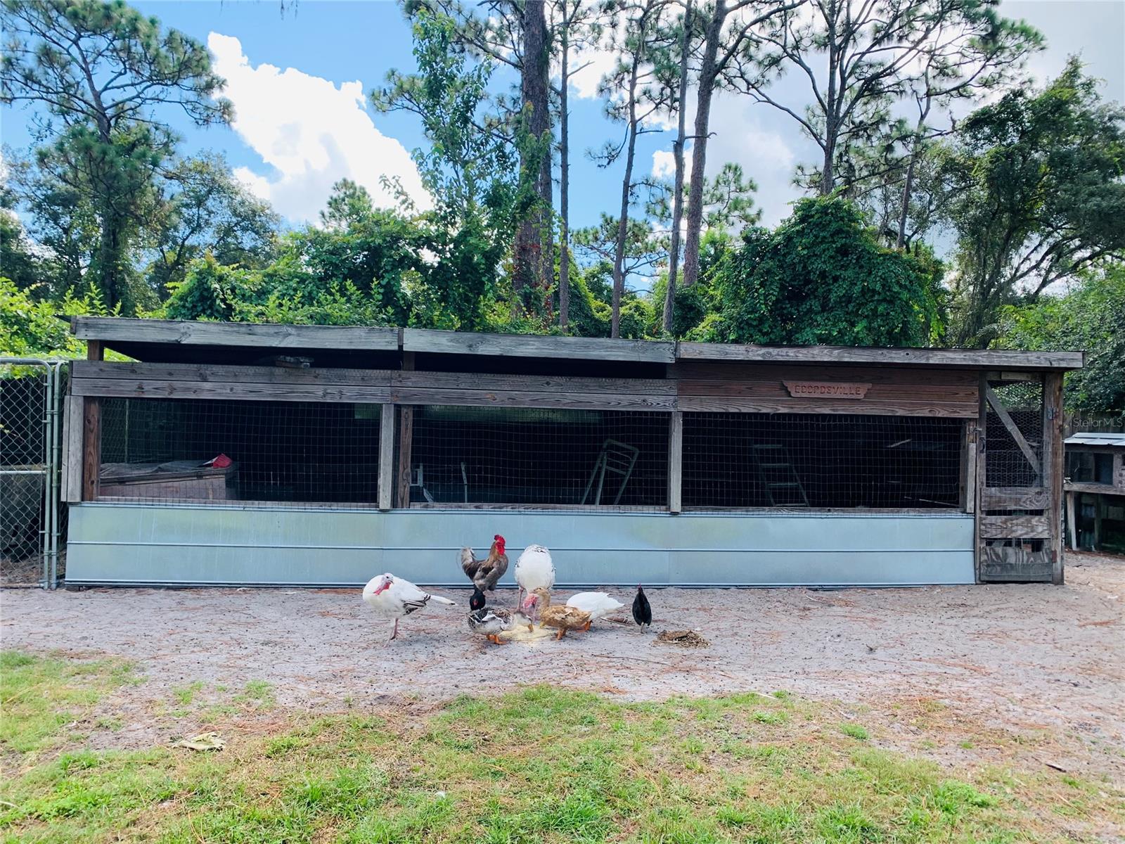 Quail Roost Ranches Unrec 202 - Residential