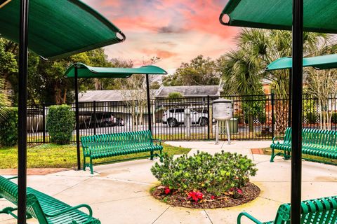 A home in MOUNT DORA