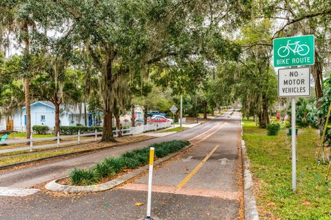 A home in MOUNT DORA