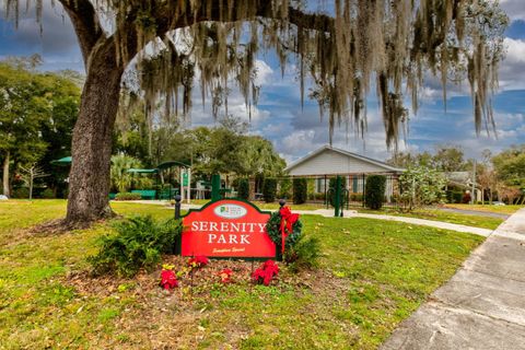 A home in MOUNT DORA