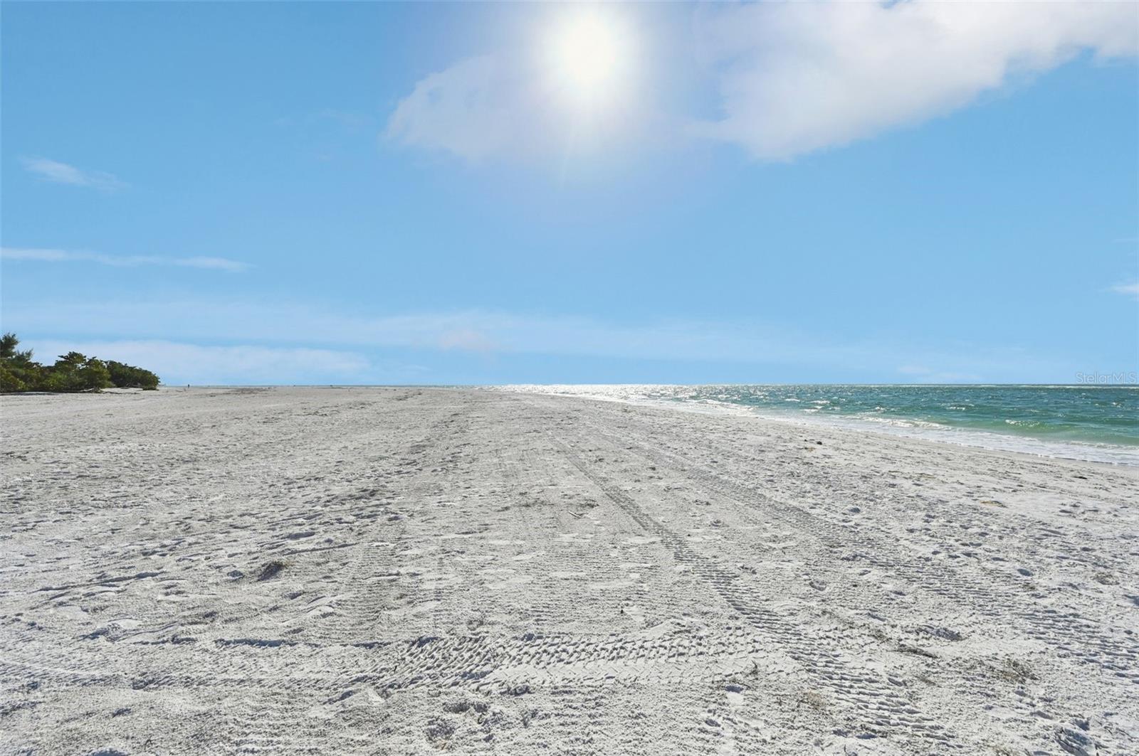 LIDO C - Residential Lease