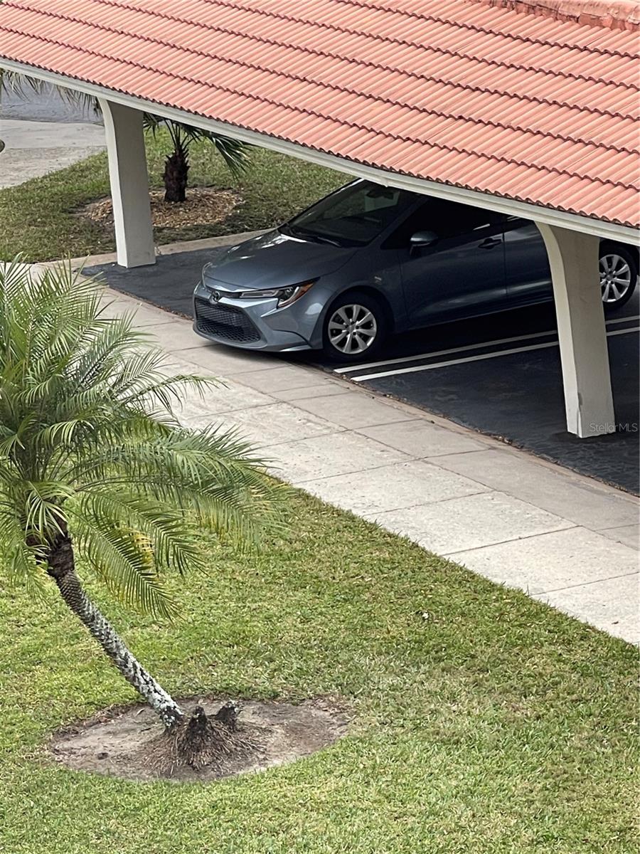 SEVILLE CONDO 14 - Residential