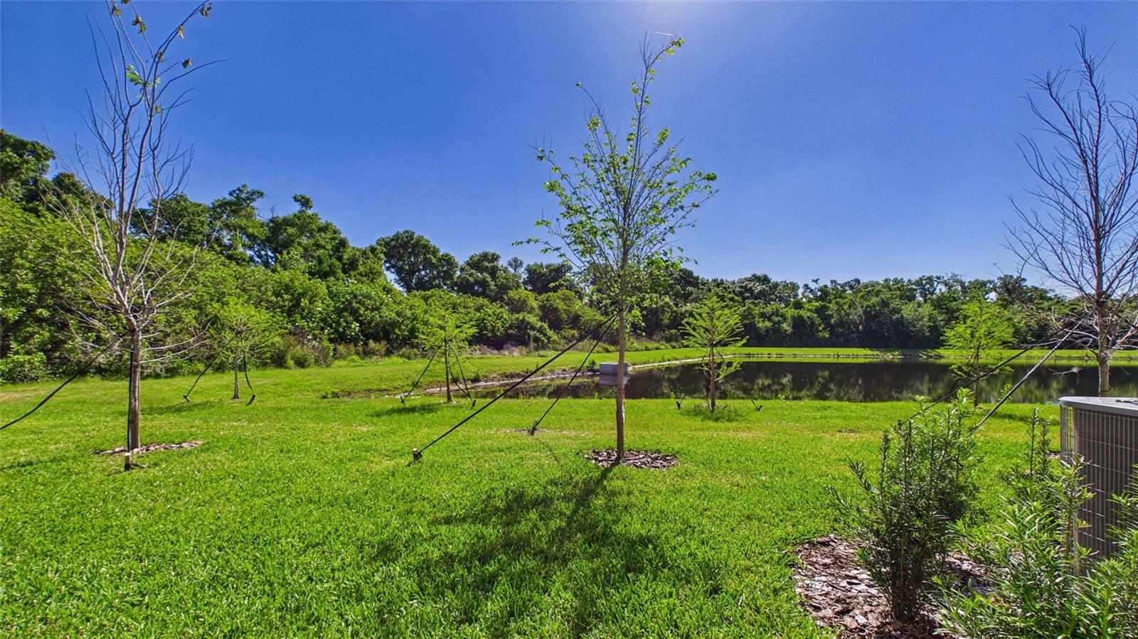 SOUTH SHORE POINTE - Residential