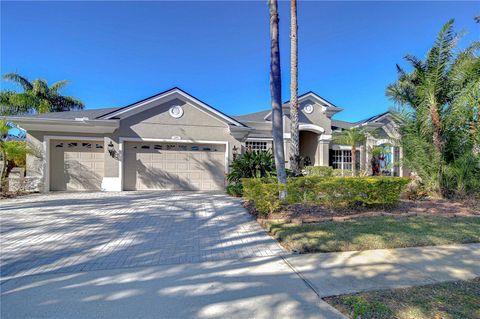 A home in LAND O LAKES