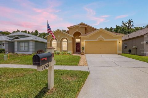 Photo of 19507 Ardwick Way, Land O Lakes, FL 34638 (MLS # TB8508552)