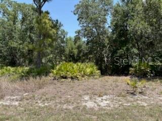 Lot is close access to major highway Veterans Highway in Port Charlotte. Electric nearby street to the south. Not in flood zone too. No HOAs with fees or deed restrictions or CDDs.