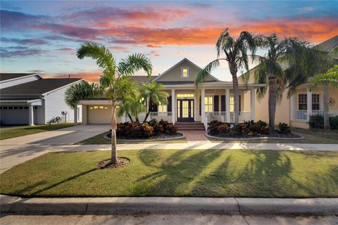 A home in APOLLO BEACH