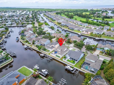 A home in APOLLO BEACH