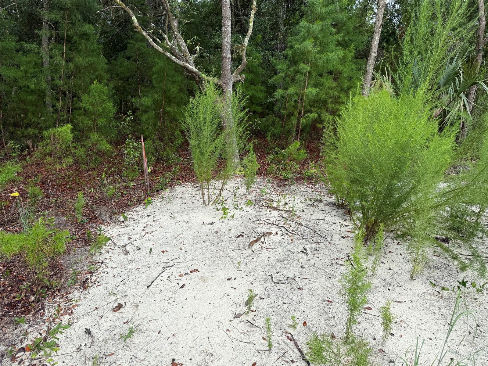 INTERLACHEN LAKES ESTATES - Land