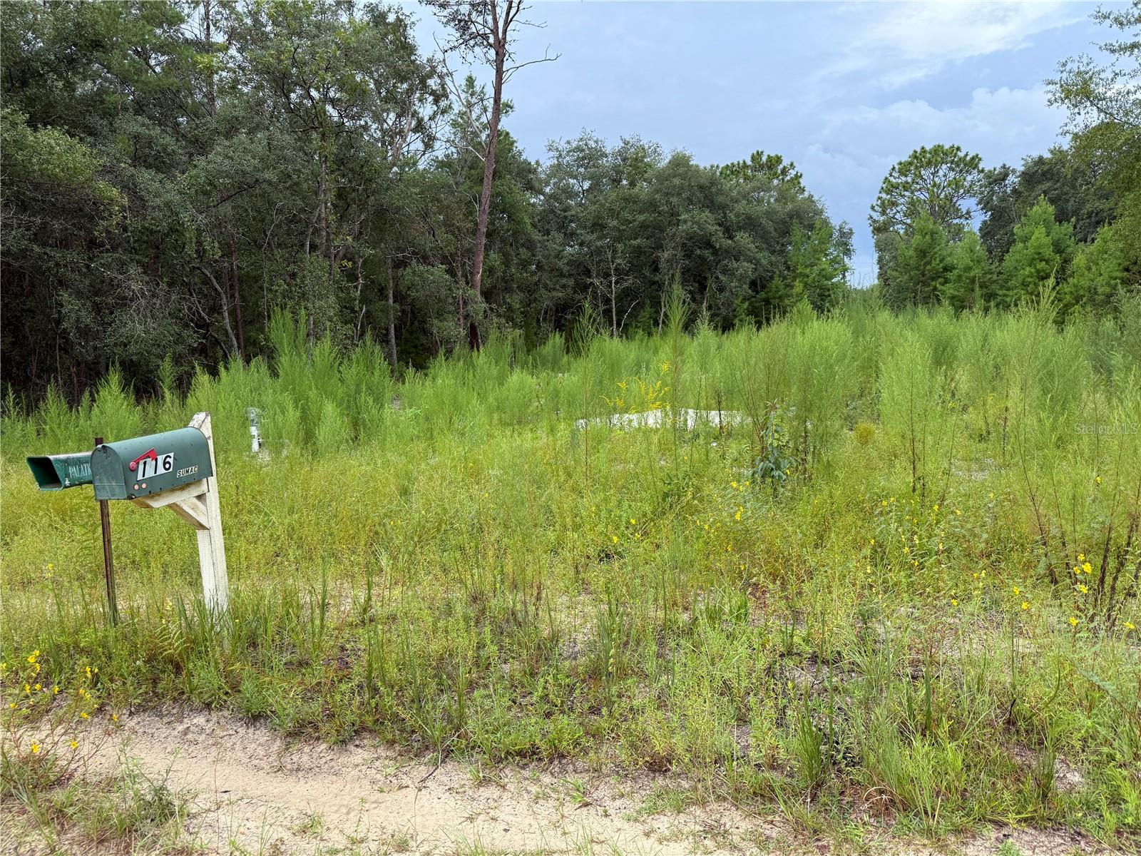 Welcome to 117 Sumac Street in beautiful Interlachen, Florida—a hidden gem where nature, adventure, and relaxation come together! This improved vacant lot is truly build-ready and waiting for your vision. Whether you’re planning to build your dream home or bring in a manufactured home, this property gives you the freedom and flexibility to create exactly what you want. The hard work has already been done for you with a brand-new well and septic system already installed, nearby power access, and a freshly cleared lot—saving you time, money, and stress.
Nestled in a quiet, natural setting, this property offers the perfect blend of peace and recreation. Just minutes away, you’ll find Hog Waller ATV & Mud Bog Park, a top-rated off-road destination where you can enjoy riding ATVs, UTVs, and dirt bikes or even camp out under the stars for a weekend of adventure. For a local favorite, grab a bite at Hog Wild Café on Hwy 310—known for its down-home cooking and friendly atmosphere. Water lovers will be in paradise with the world-famous Salt Springs and Silver Glen Springs nearby, where you can swim in crystal-clear waters, kayak along scenic springs, snorkel with fish, or simply relax on the shore. The area is also home to countless lakes and natural trails, making it an outdoor enthusiast’s dream with fishing, boating, hiking, and wildlife spotting all within reach. There is a Winn Dixie and Publix just 20 minutes away in Palatka.
Whether you’re looking to escape the hustle and bustle, build your forever home, create the perfect weekend retreat, or invest in property in a fast-growing area, this lot checks all the boxes. With flexible zoning that allows manufactured homes and a location surrounded by Florida’s best natural attractions, this is the perfect opportunity to create the lifestyle you’ve been dreaming of. Don’t wait—properties like this don’t stay on the market for long!