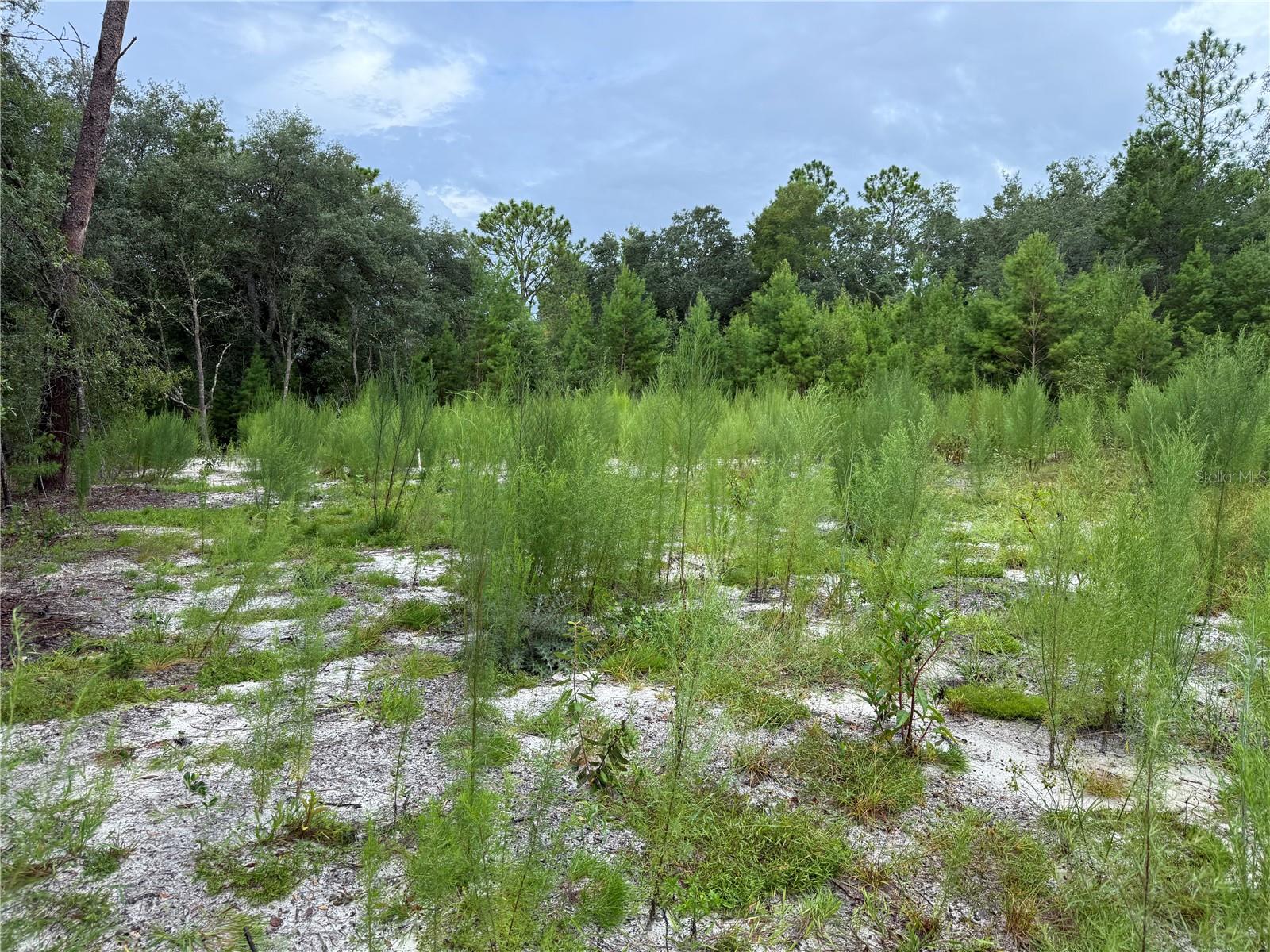 INTERLACHEN LAKES ESTATES - Land