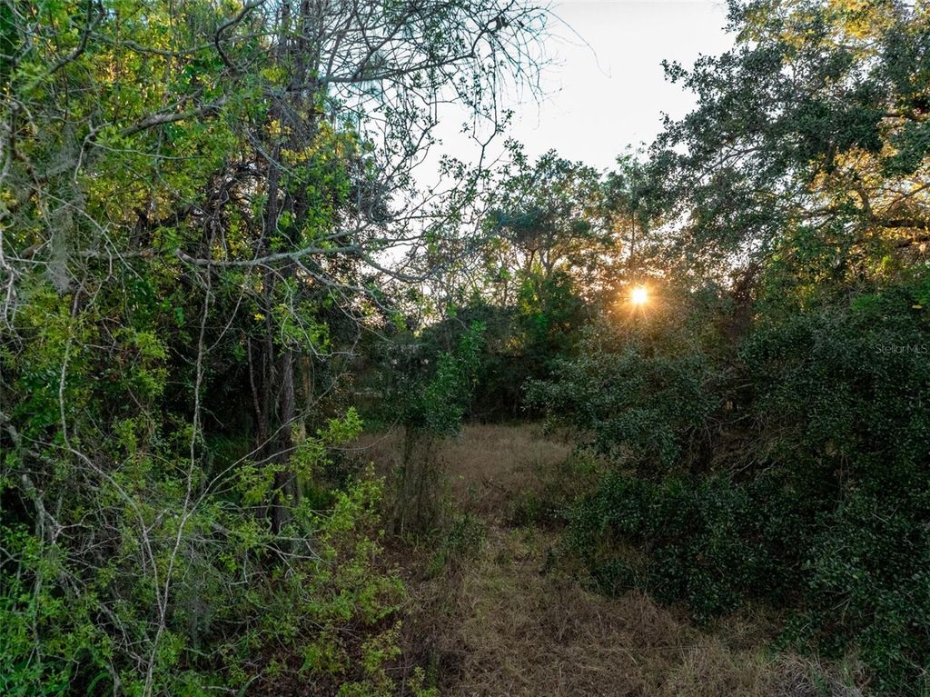 Photo of 6705 Balsam Place, Sebring, FL 33875 (MLS # O6386258)