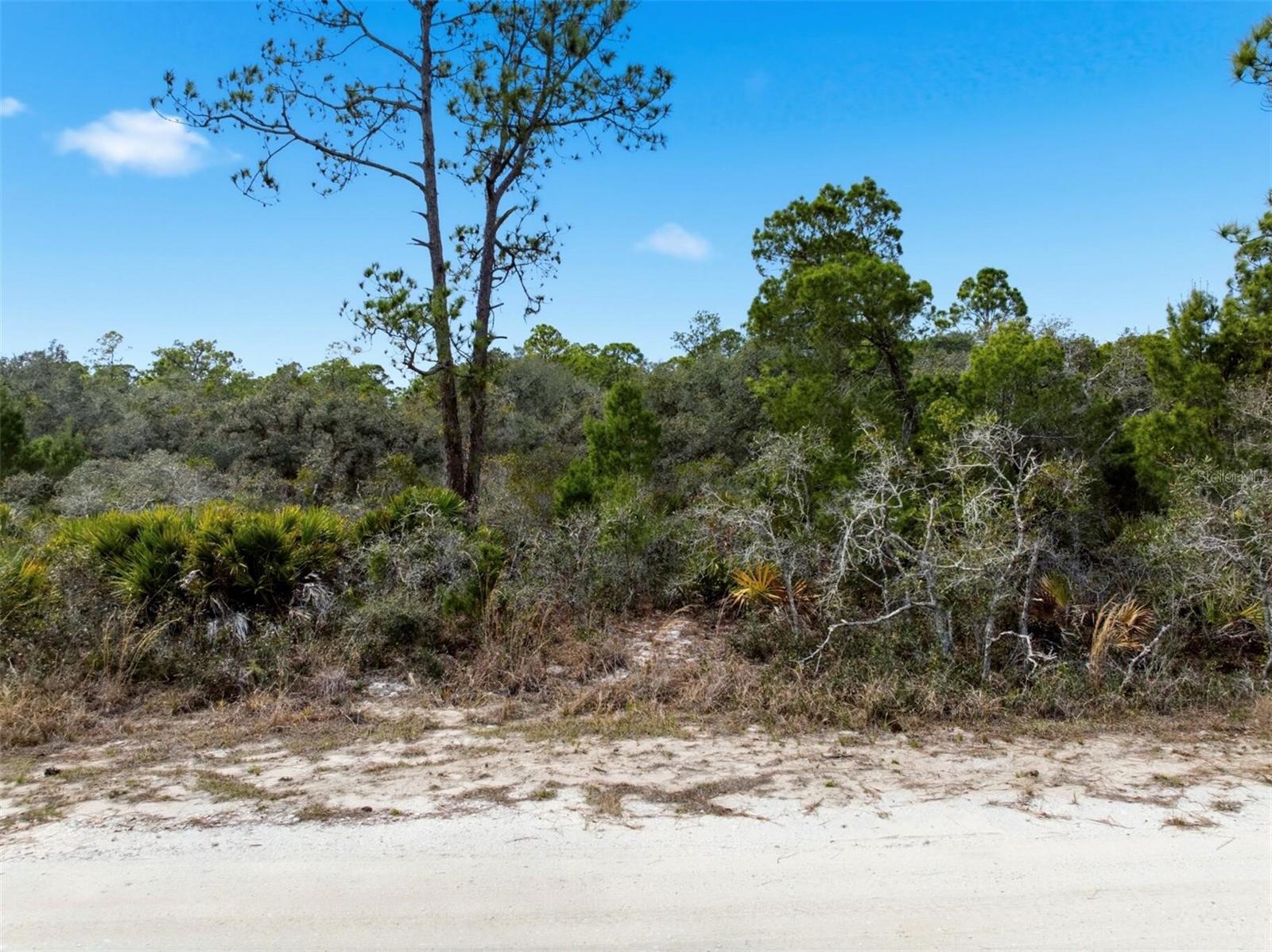 ORANGE BLOSSOM ESTATE - Land