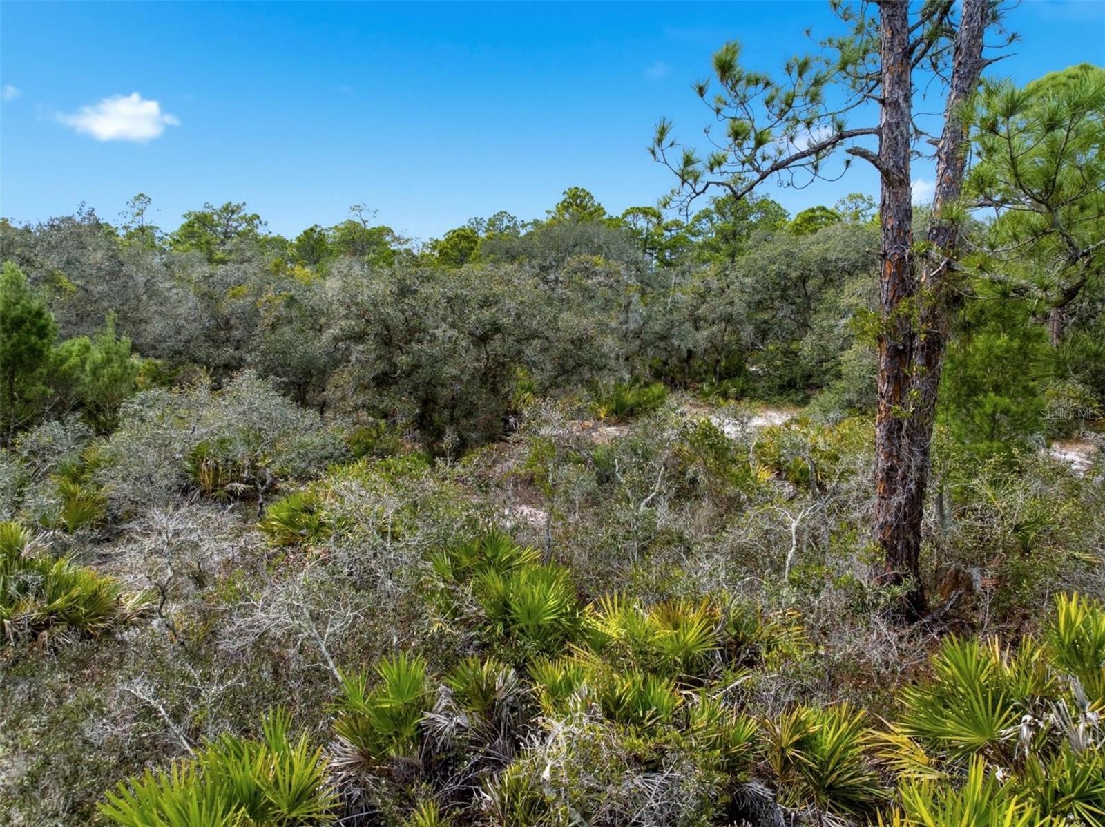 ORANGE BLOSSOM ESTATE - Land