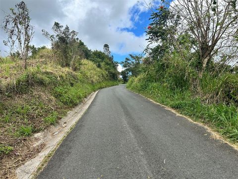 CARR. 723,2.3 INT. AIBONITO  00705