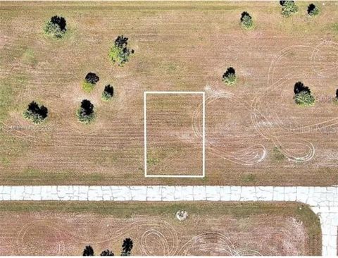 13699 WALLEYE WAY PLACIDA FL 33946