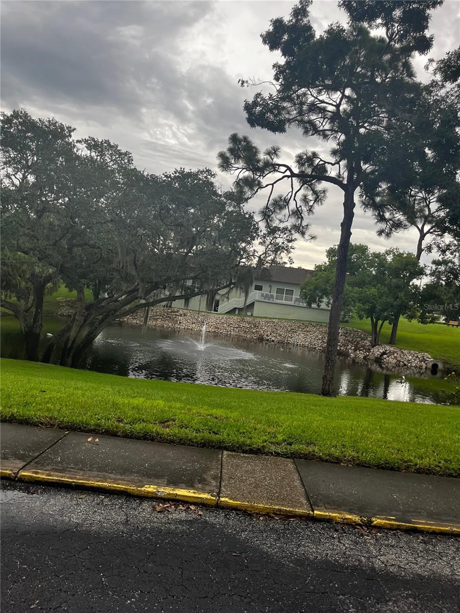 GREEN DOLPHIN PARK CONDO - Residential