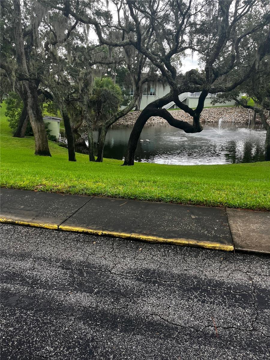 GREEN DOLPHIN PARK CONDO - Residential