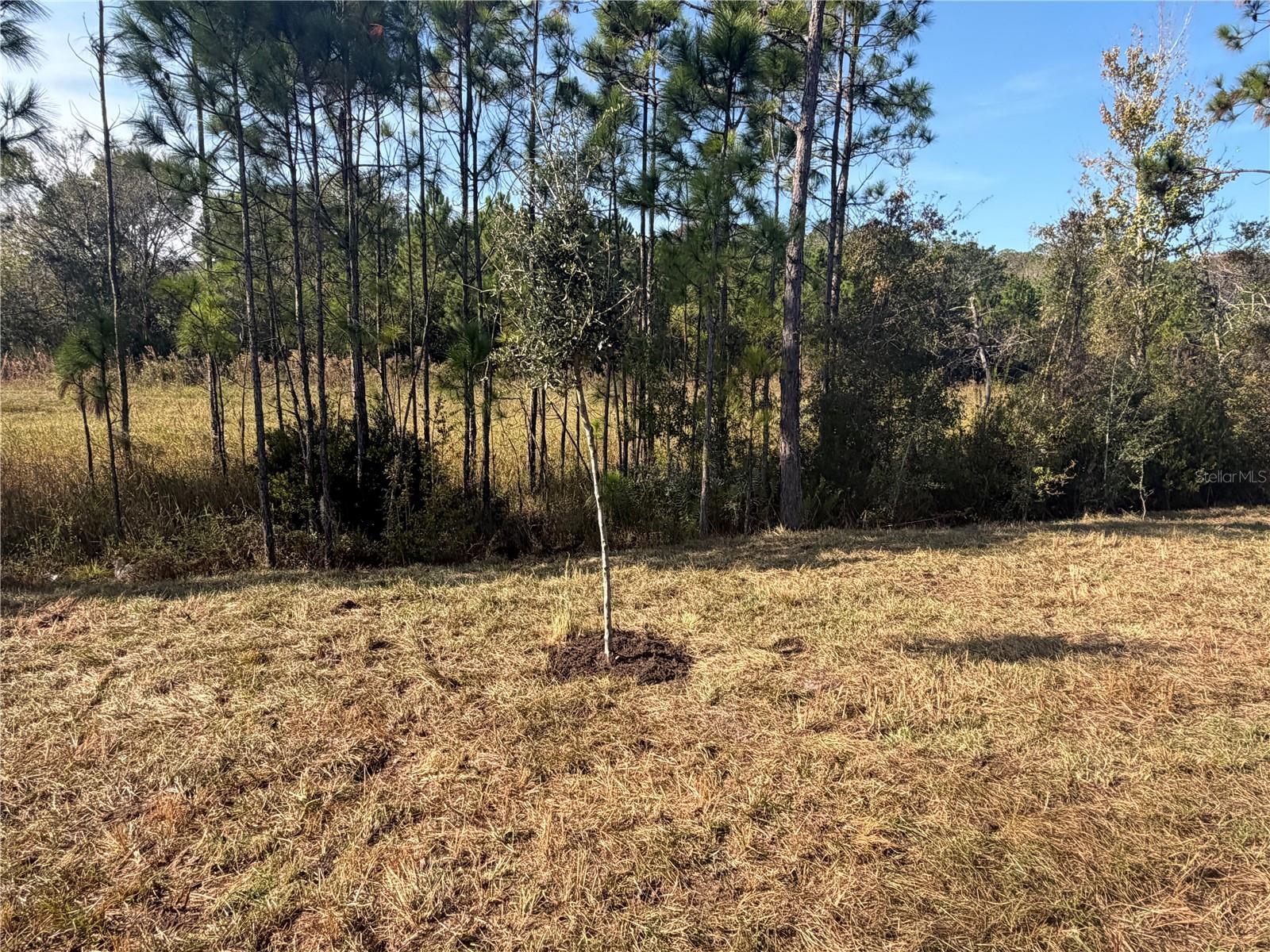 HARMONY CENTRAL PH 2 - Residential