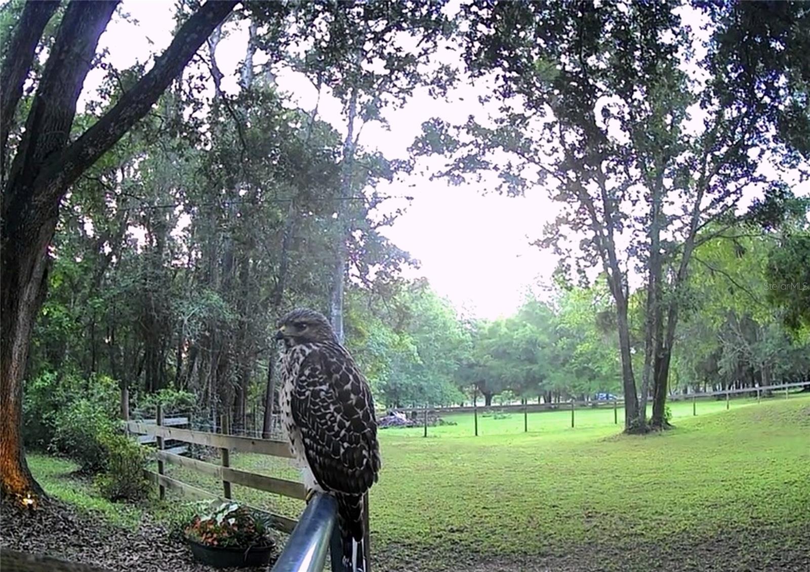 REDEKER - CLASS 1 SUB - Residential