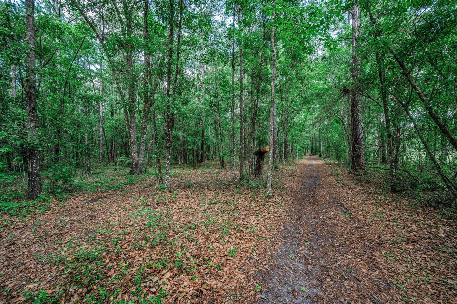 REDEKER - CLASS 1 SUB - Residential