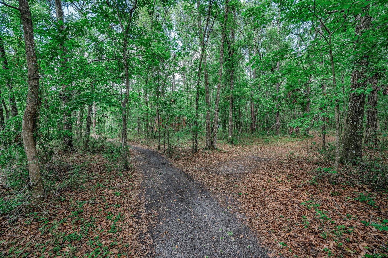 REDEKER - CLASS 1 SUB - Residential