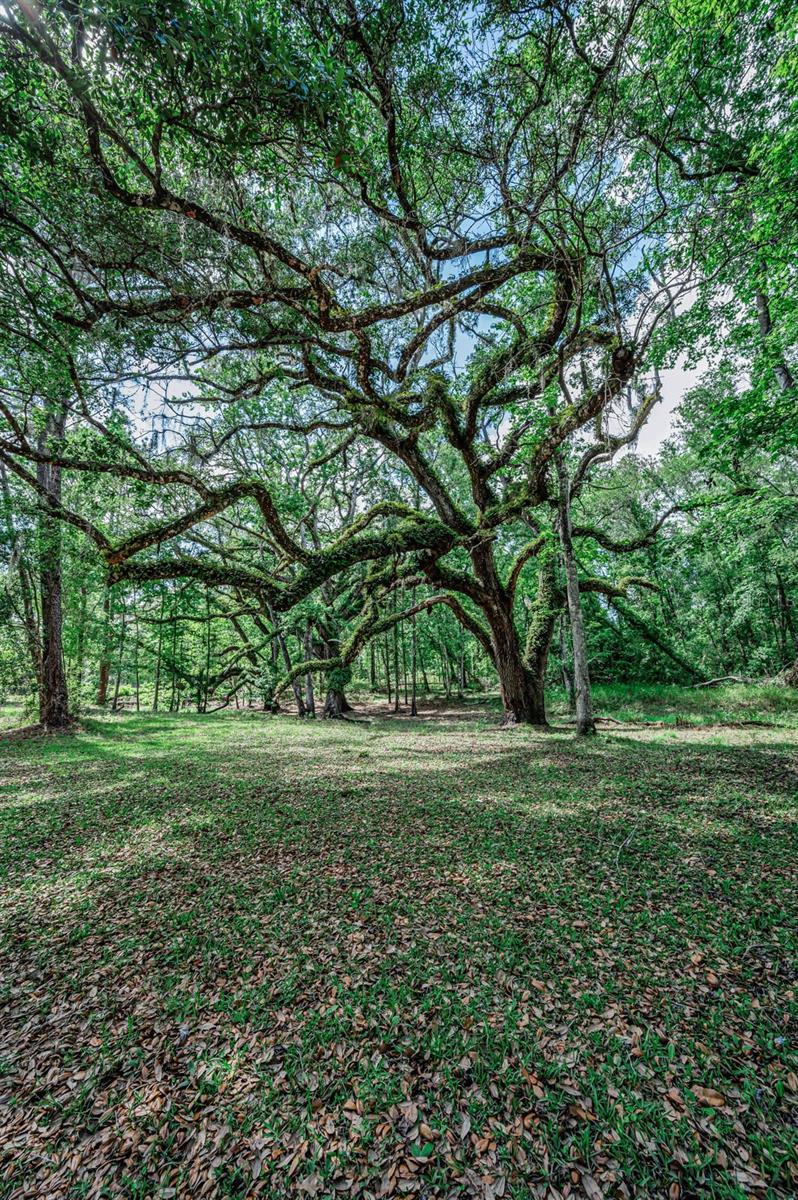 REDEKER - CLASS 1 SUB - Residential