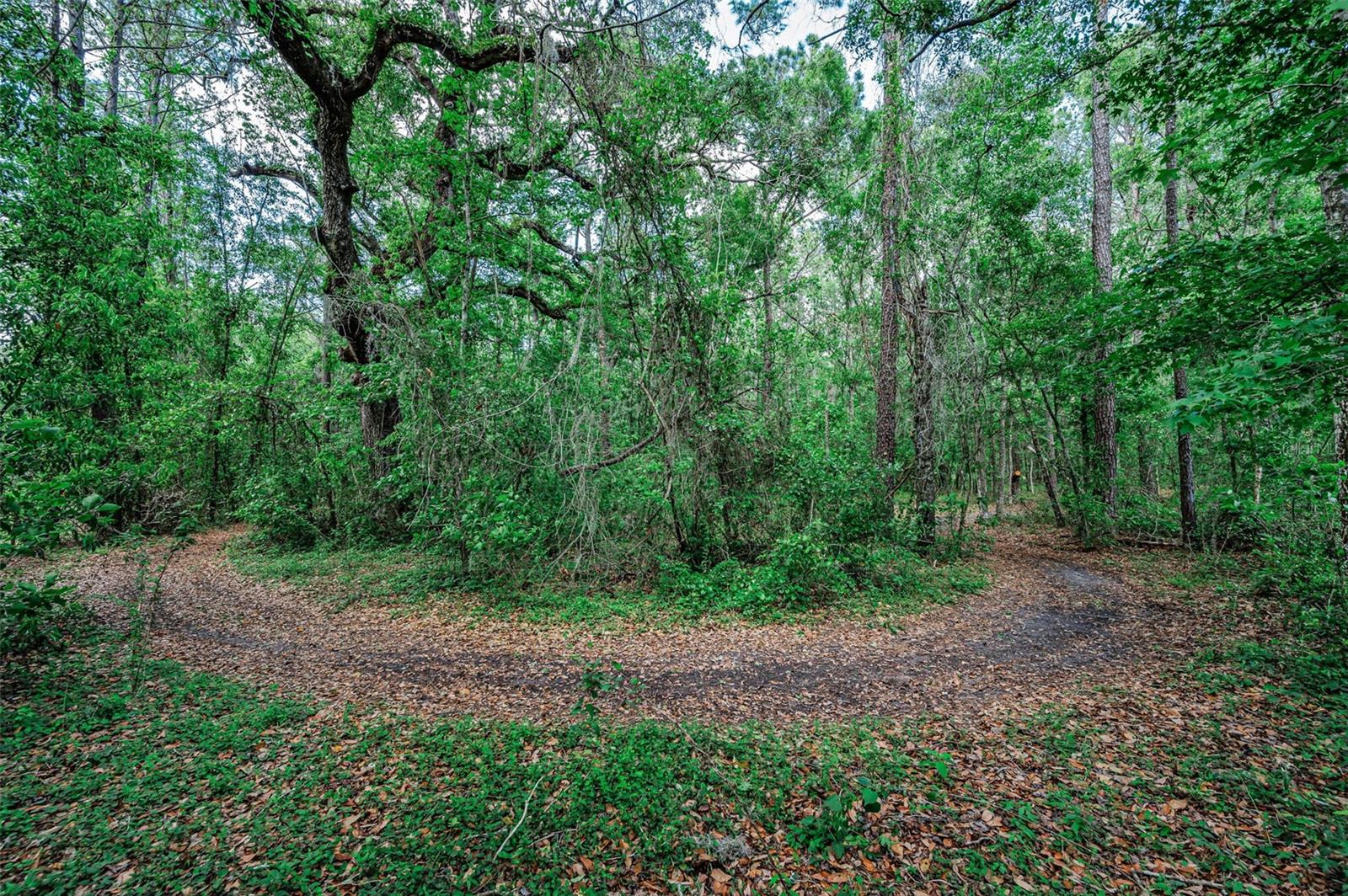 REDEKER - CLASS 1 SUB - Residential