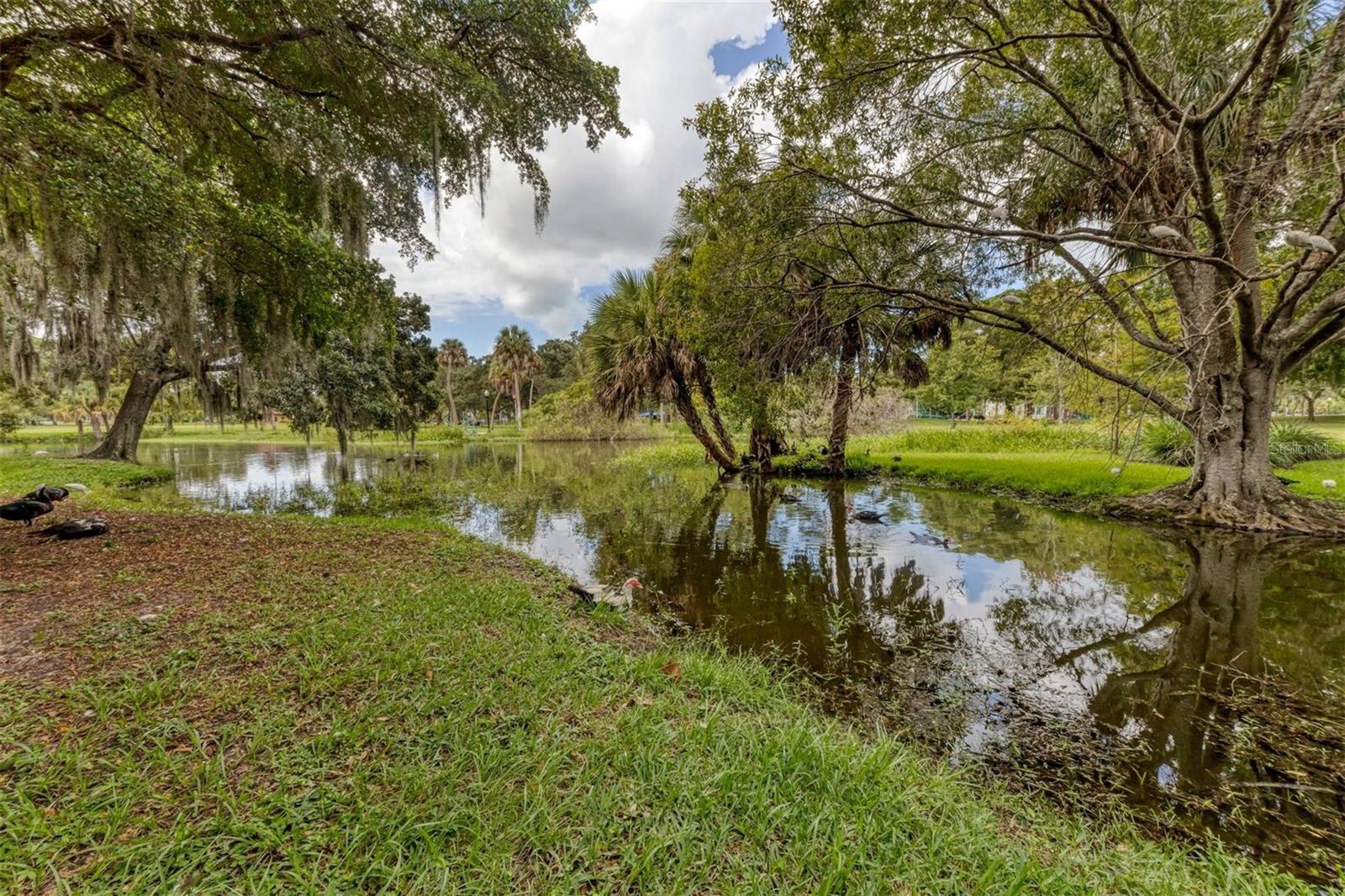 SKINNER & WALTONS AMD - Commercial Sale