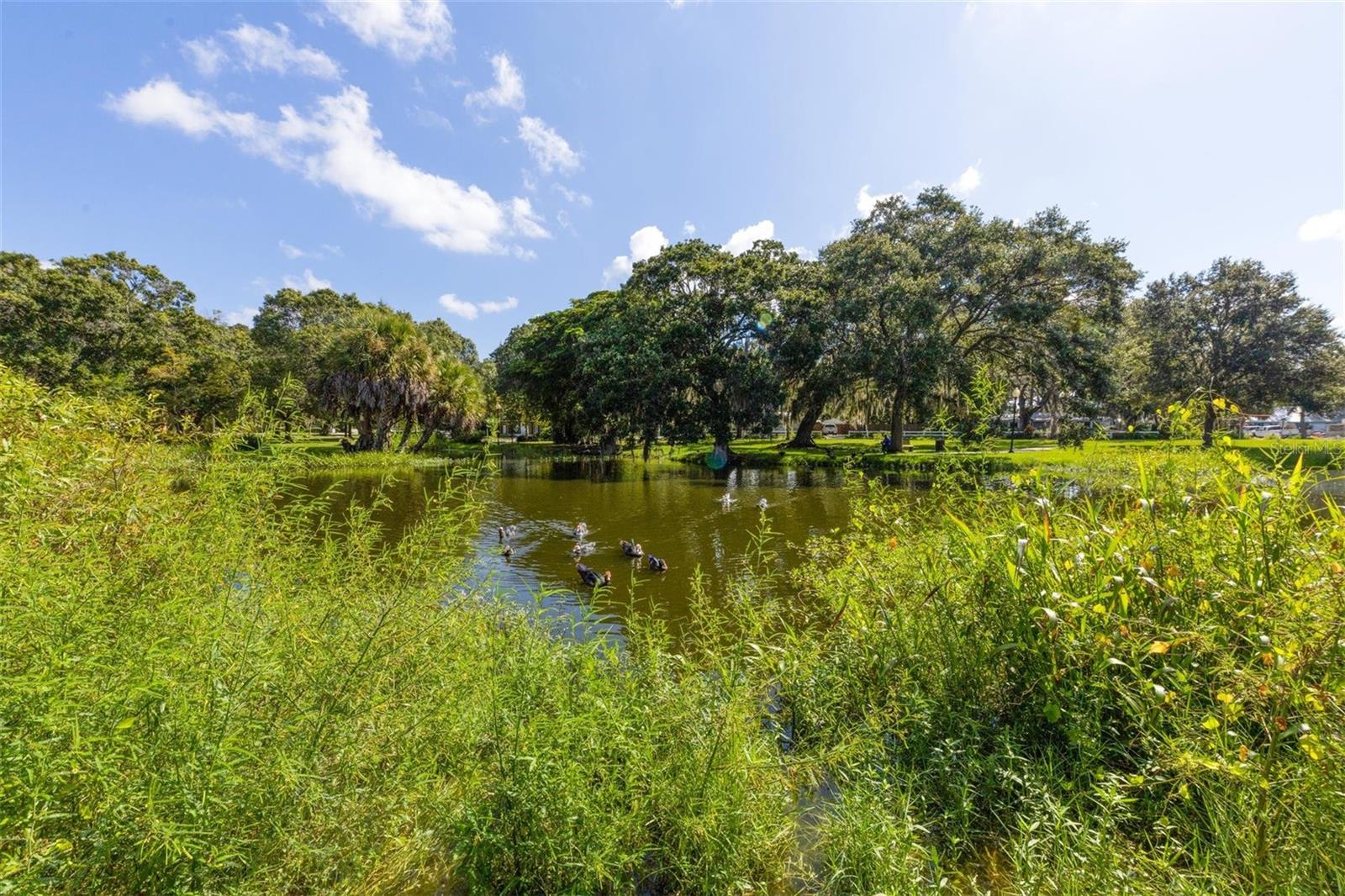 SKINNER & WALTONS AMD - Commercial Sale