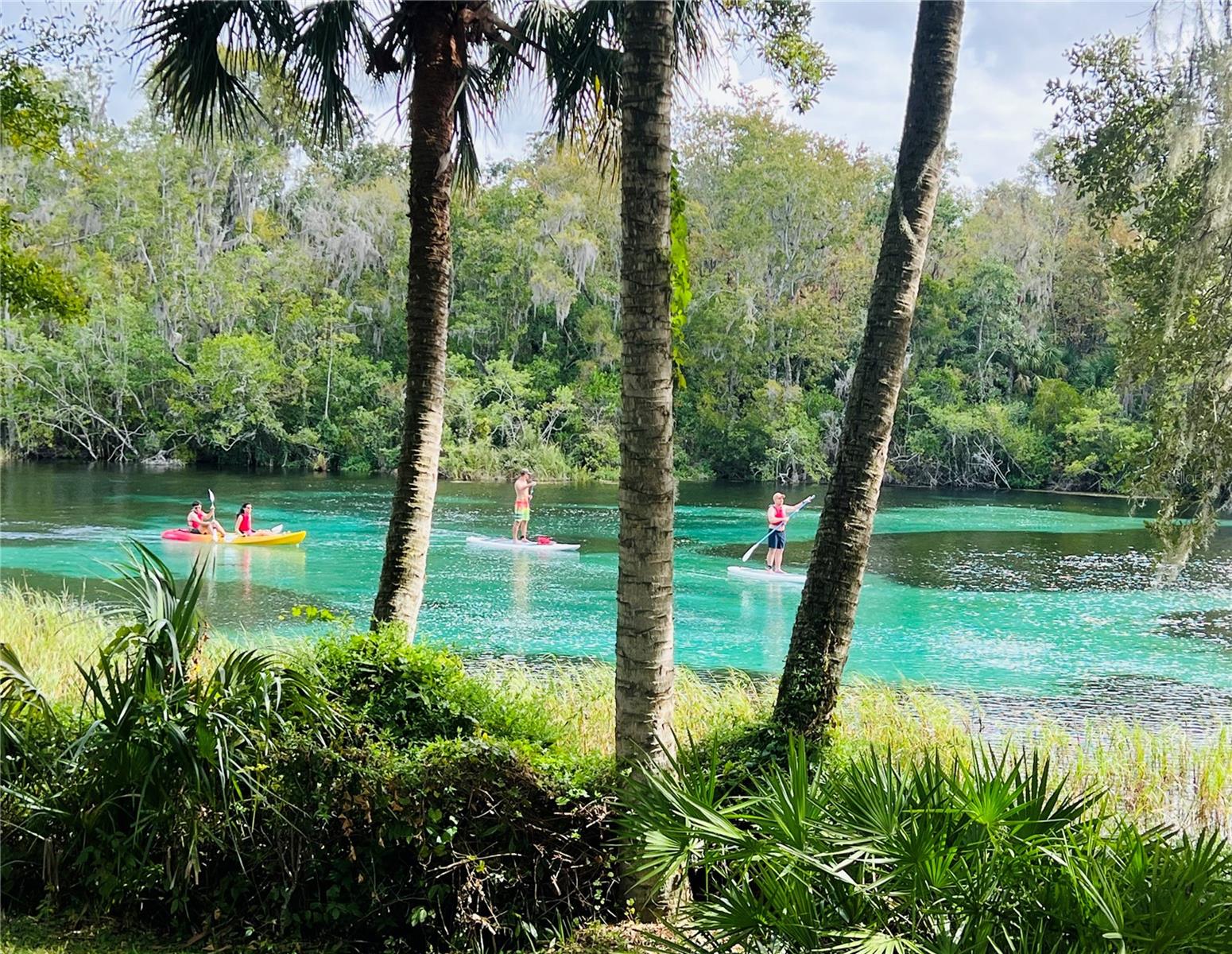 RAINBOW SPRINGS COUNTRY CLUB ESTATES - Residential