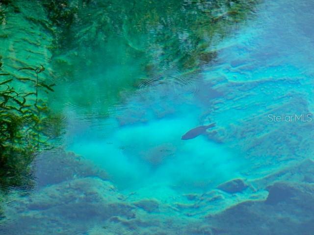 RAINBOW SPRINGS COUNTRY CLUB ESTATES - Residential