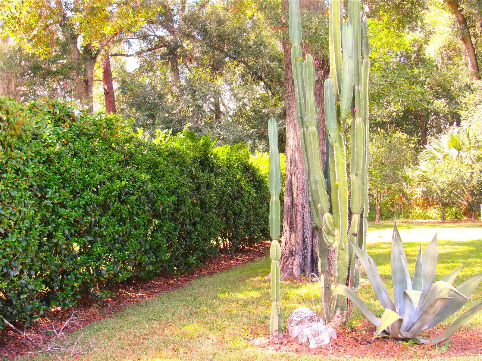 RAINBOW SPRINGS COUNTRY CLUB ESTATES - Residential