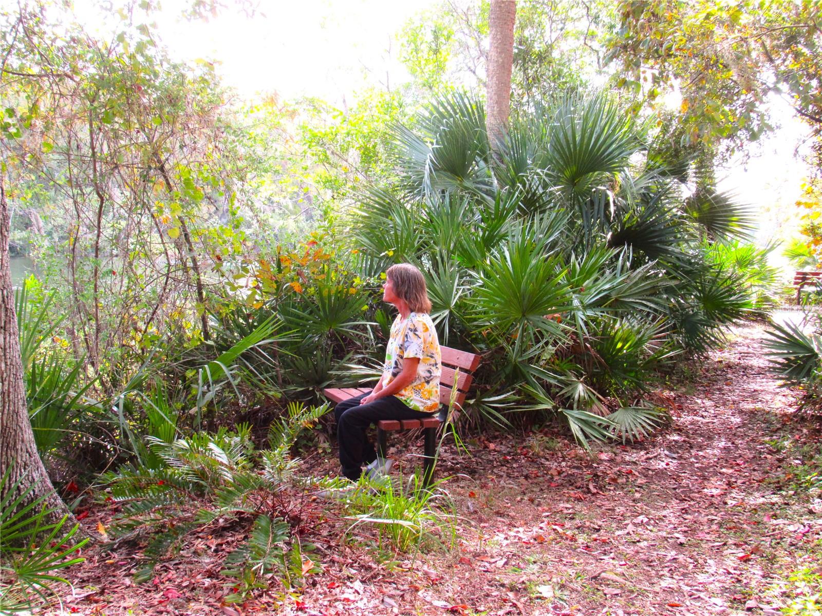 RAINBOW SPRINGS COUNTRY CLUB ESTATES - Residential