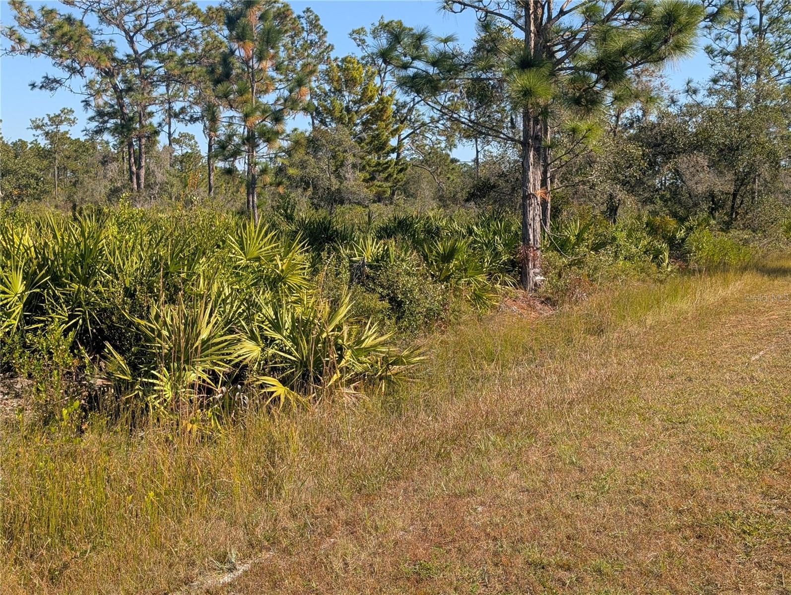 INDIAN LAKE ESTATES - Land