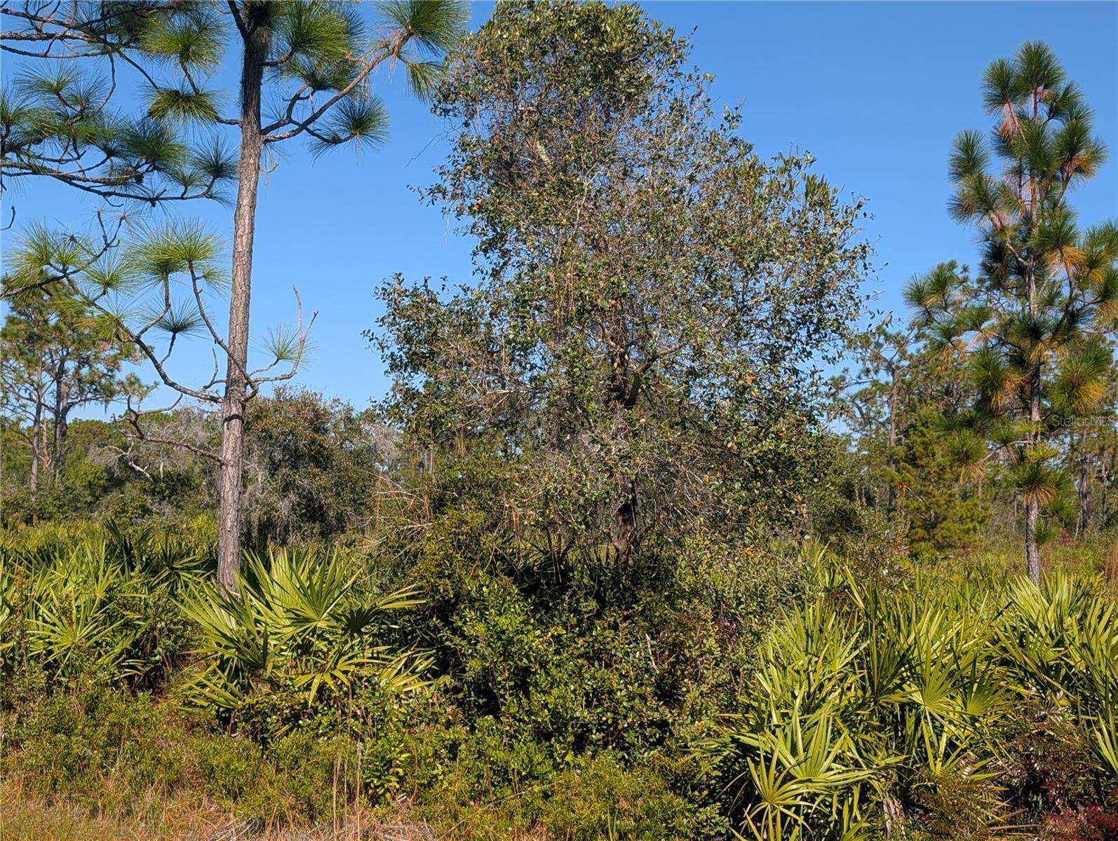 INDIAN LAKE ESTATES - Land