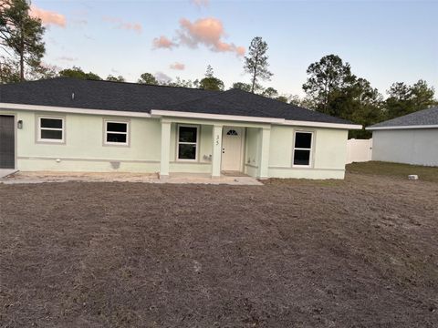 35 SEQUOIA TRAIL OCKLAWAHA FL 32179