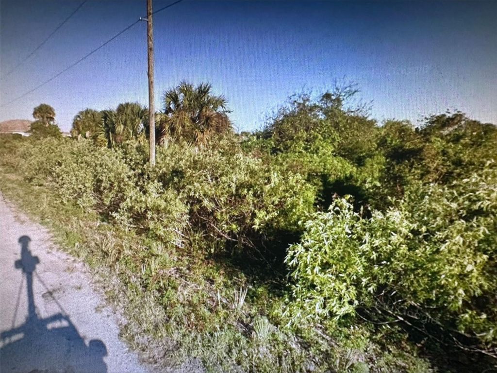 Photo of 165 Ferguson Street SW, Palm Bay, FL 32908 (MLS # A4597220)