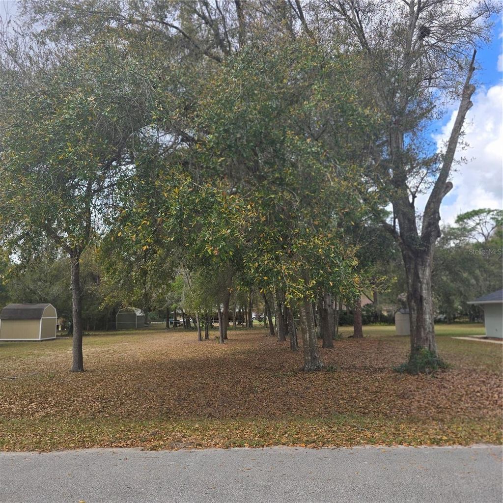 Photo of 9181 SE Highway 42, Summerfield, FL 34491 (MLS # R4910847)