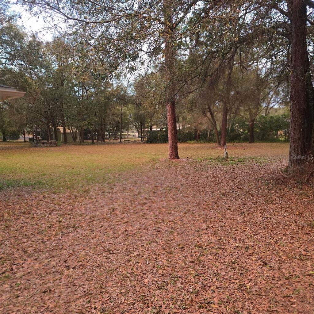Photo of 9181 SE Highway 42, Summerfield, FL 34491 (MLS # R4910847)