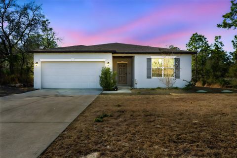 Photo of 15439 Mount Sparrow Road, Weeki Wachee, FL 34614 (MLS # TB8473236)