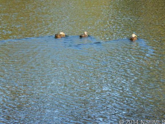 Turnbull Bay Country Club Estates - Residential