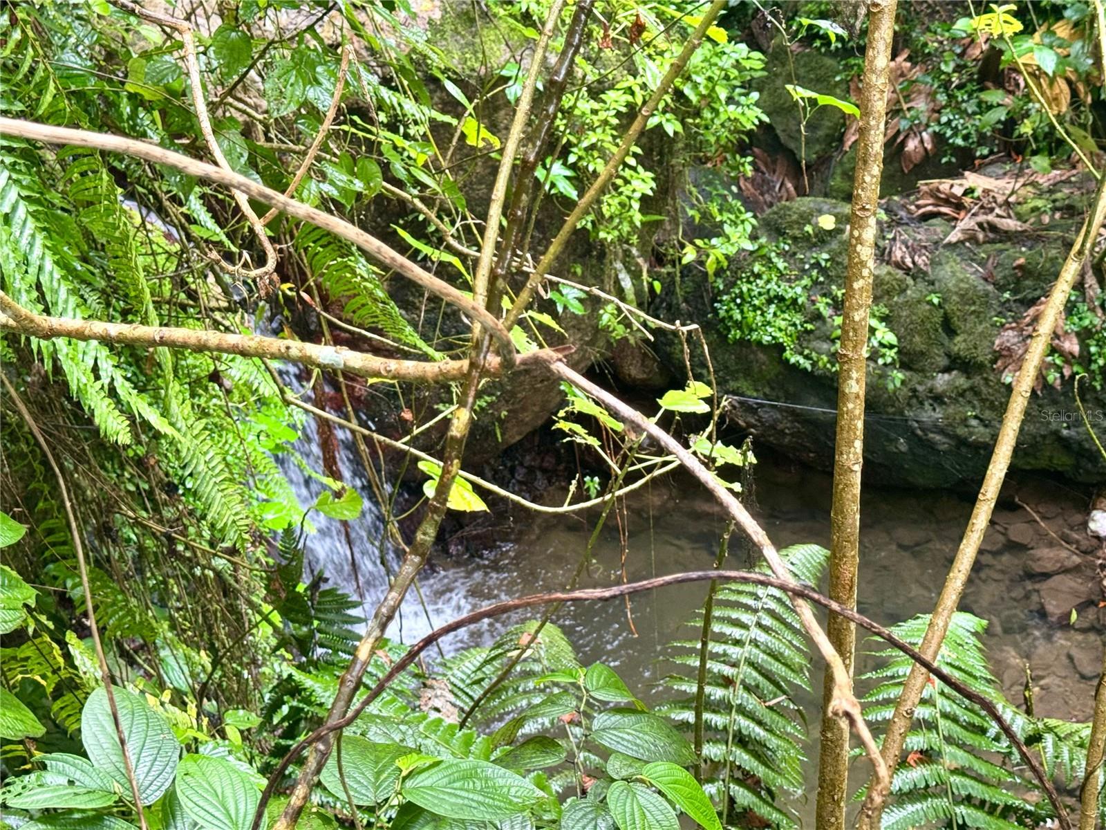 191 191 BO. RIO BLANCO KM 9.7
